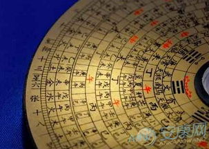 我的八字四柱里带有龙，该如何改写才能成为一个长尾关键词？