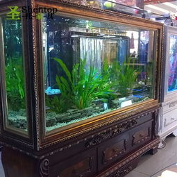 鱼缸摆放位置之关键：方位与高低