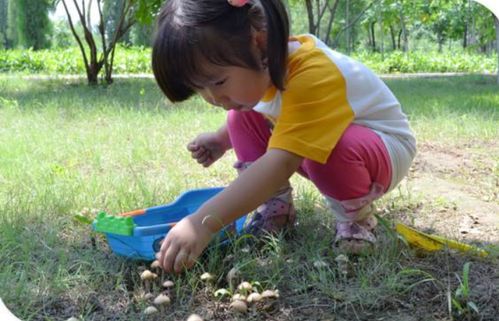 一、 毁灭天使菌（Amanita virosa）