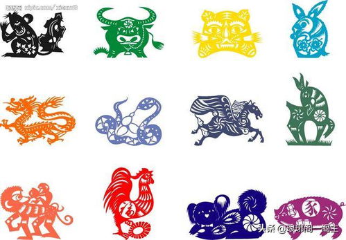 霄是什么生肖动物？霄与宵有何区别？