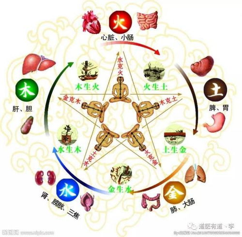 82年属狗大海水命，五行缺火，微信头像该换成什么图案呢？