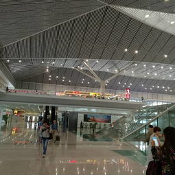 小技巧：怎么在中山桥上不被风吹倒？