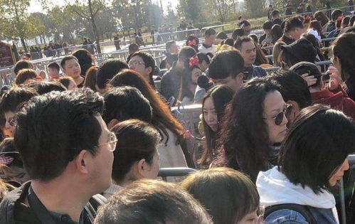 拥挤之困：从排队排到腿软到嫩不嫩聪明点分流