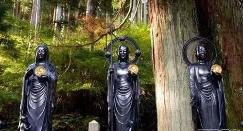 墓碑文字揭示与感官反应分析