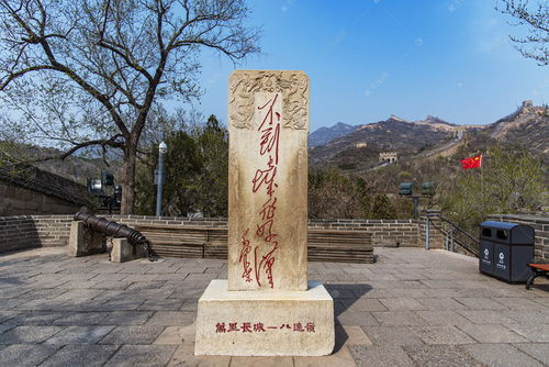 拍照：争分夺秒的抢占战