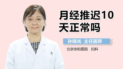 结论