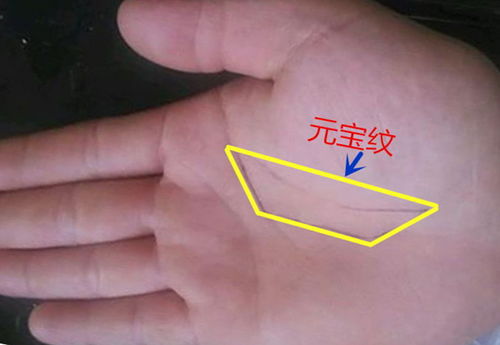 4.3 性别差异解读：女性群体旺夫命论