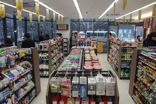 中和之道：寻求平衡与和谐的名字