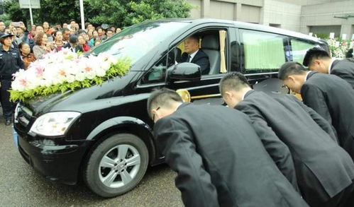 二、  探路人的战略功能与路线规避