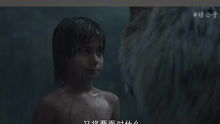 ：从狼孩视角审视人类社会周边环境之恐慌根源