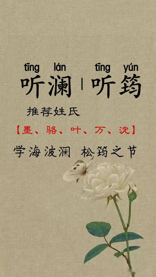 2. 文化底蕴意境