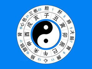2026年生肖和命理分别是什么，生肖表彩图有何寓意？