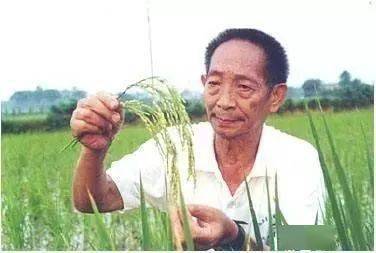 第一篇：梦魇织就的幻象——事件开端与初步感知