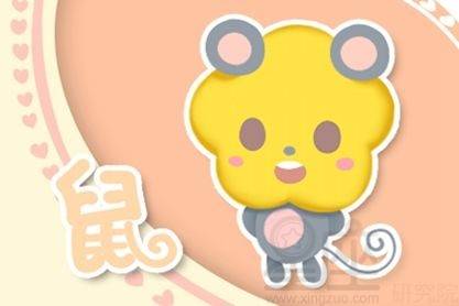 属鼠人2026年下半年学业运势如何？运势运程会有哪些变化？