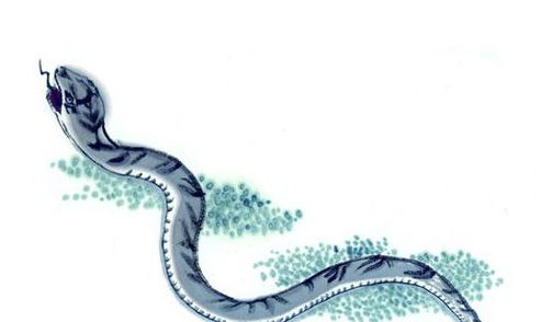 一、 整体运势概述与命理阐释