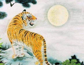 大生肖中哪些属相被称为胆大生肖？