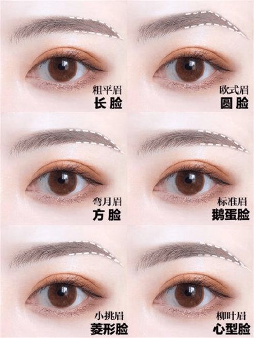 眉毛移植技术——专业医师选择及个性化设计的重要性