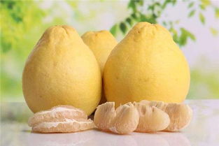 啊！天呐！柚子梦境大揭秘！看完震惊了！