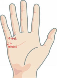 ：中华传统文化中的命运探寻