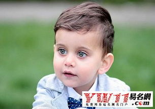 有哪些以木字旁为部首的字可以用来给男孩取名？