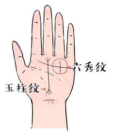 一、 婚姻线（Marriage Line）之形态与寓意