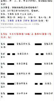 影响预测准确性的多元因素分析