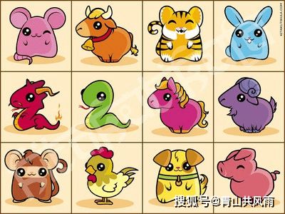 将一落千丈的生肖是什么，这个成语背后有什么特别的含义吗？