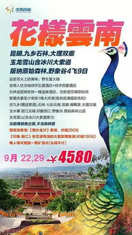 鞋子选错会要命