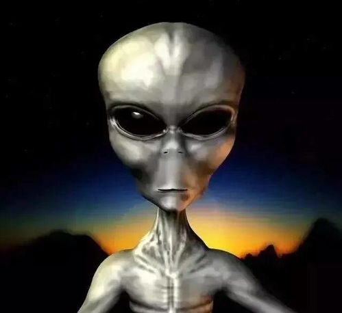 梦见骷髅预示着什么含义或象征？