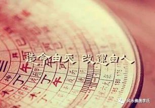 女八字命格扶水扶木对命理有益吗？如何判断八字命格适宜扶水扶木？