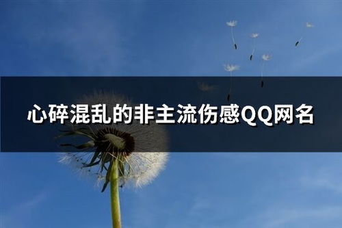 生肖鼠：敏感多情与水元素的流动