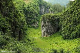 5. 梅州美食之旅：挑战你的味蕾极限