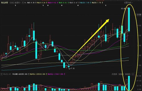 三、  斗纹数量与命运密码的量化关联性探讨