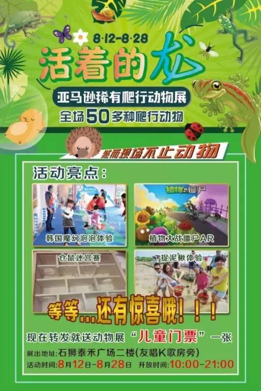 天呐！2026年宠物展套餐便宜到哭！但小心踩雷啊啊啊！