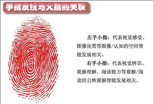 二、 综合解析不同组合类型的命运倾向
