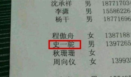五、命名逻辑崩塌：一场荒诞游戏