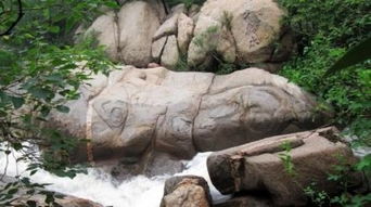 龙湾地质公园门票优惠攻略大揭秘！不堪后悔一辈子！血泪史啊家人们！