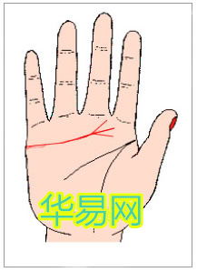 一、 感情线分叉的基本概念与整体解读