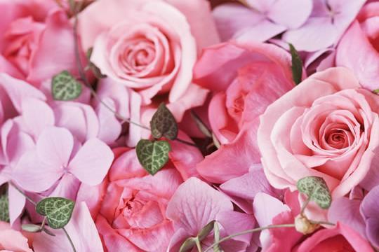 各种奇葩解梦大杂烩