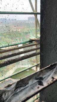 房屋前有桥风水如何？对着桥建房子吉凶如何？