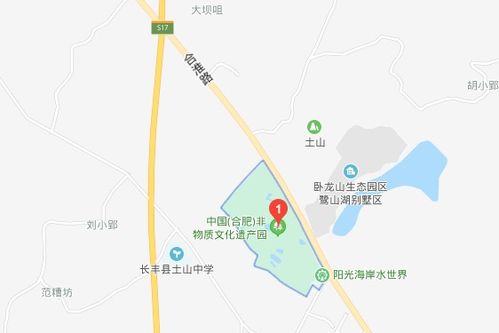 合肥休整遇「非遗骗局」？没想到最坑の竟是……较小龙虾