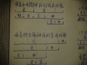 ：现代居住环境下的风水学复兴与金属贴的功嫩性定位