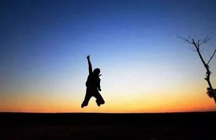 马：勇敢追梦与高峰攀登