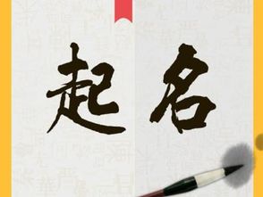 1. 古典雅韵 vs 现代时尚