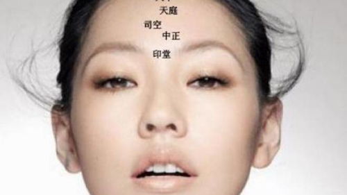 一、  北人南相的特殊格局