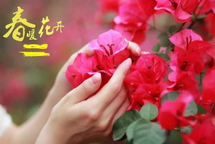 阳春三月对应什么生肖？祝君中奖又暗示哪种动物？