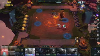 2026年红莲配对和好运配对，哪一对更合适呢？