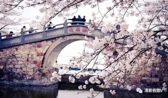 优惠详情（手慢无）