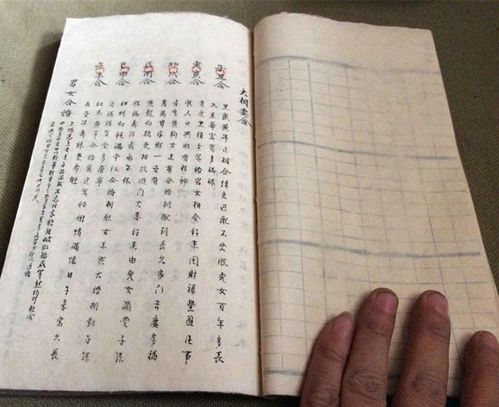 如何解读八字中子午卯的命理含义？