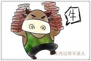 个人形象塑造：专业素养与人格魅力有机融合
